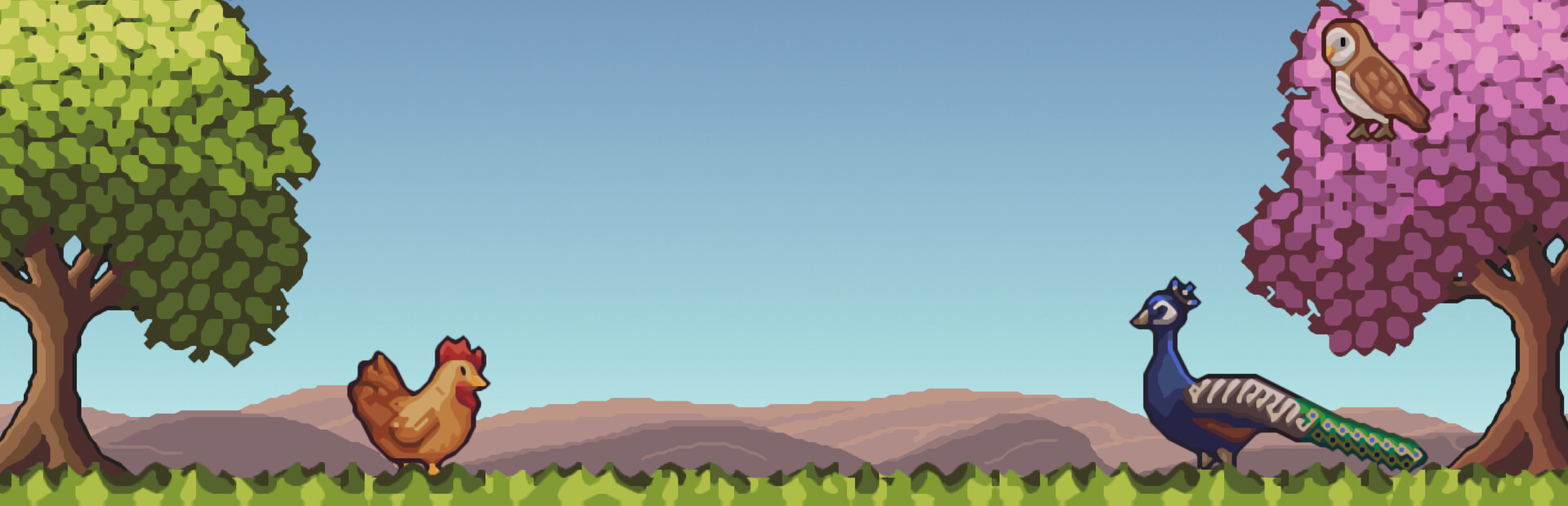 Little Aviary