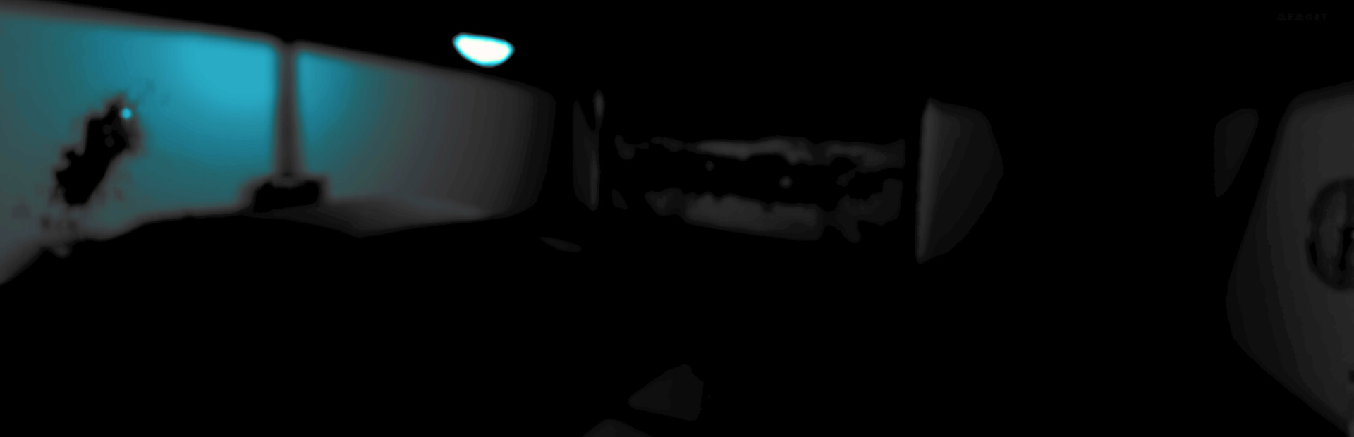 Blind Memory