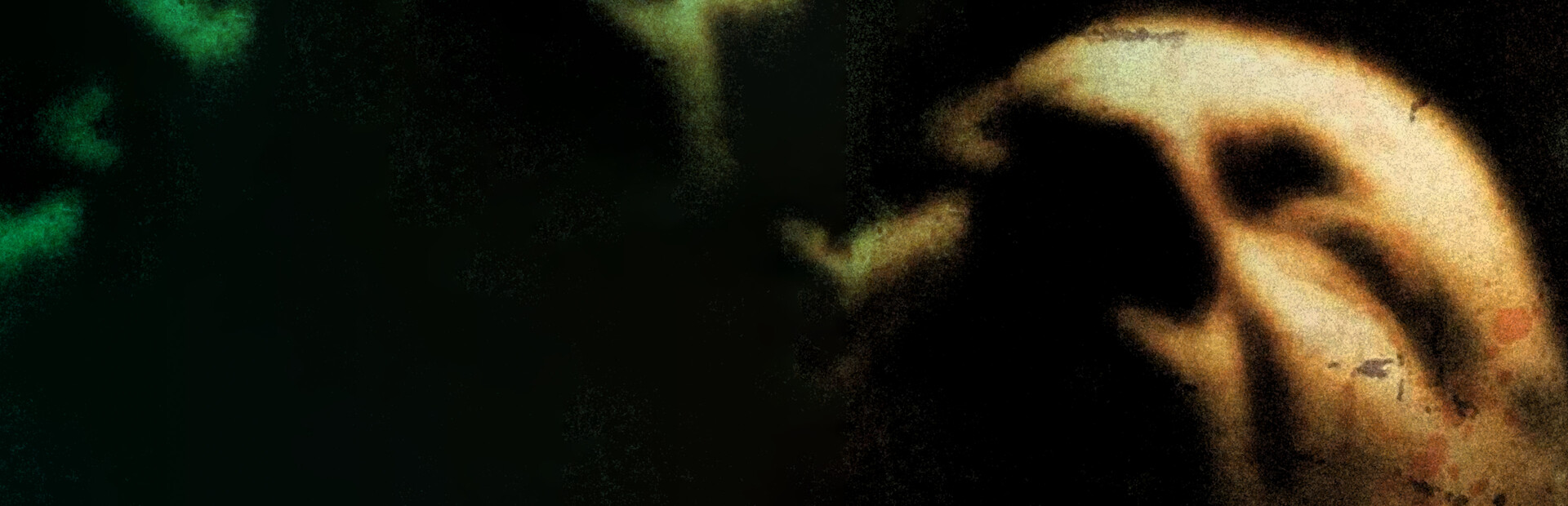 Dementium: The Ward