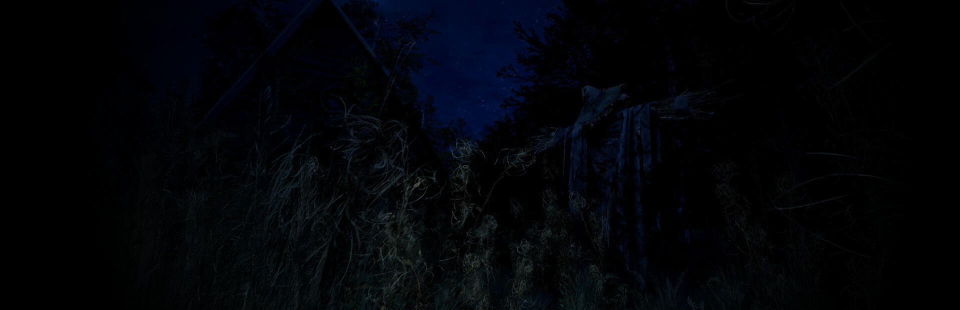 Untold Memories: Potter's Field